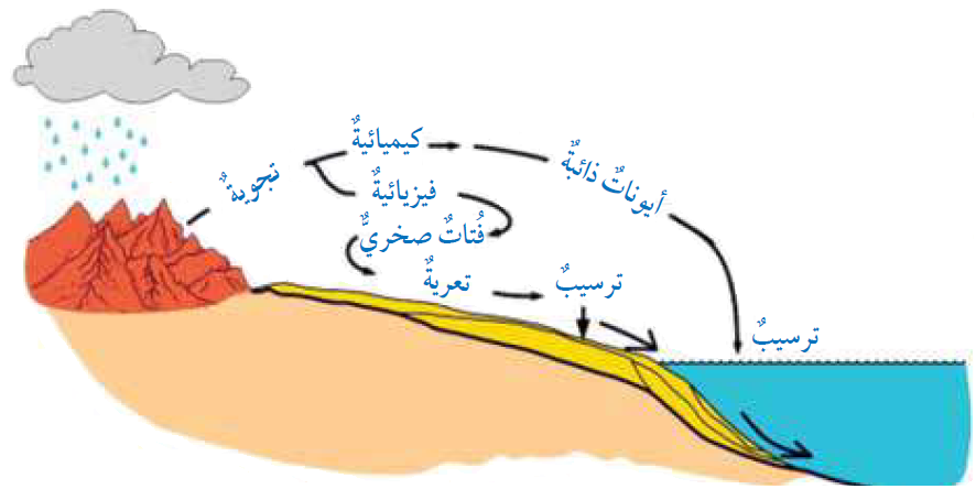 مراحل تكون الصخور الرسوبية